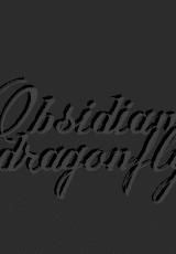Obsidian Dragonfly