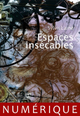 Espace insecables